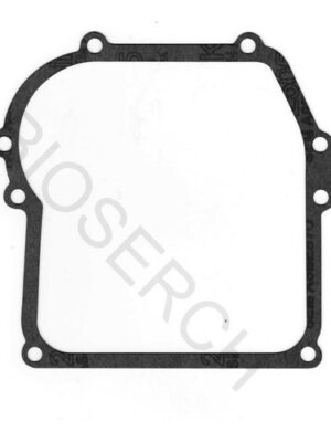 Junta Carter Briggs & Stratton 692218 Series 350 375 450