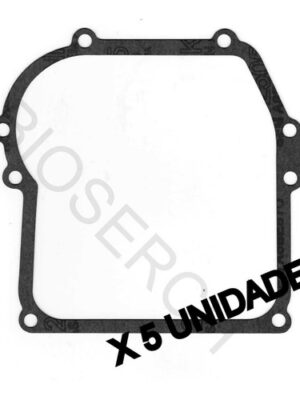 Junta Carter Briggs & Stratton 692218 Series 350 375 450 X 5
