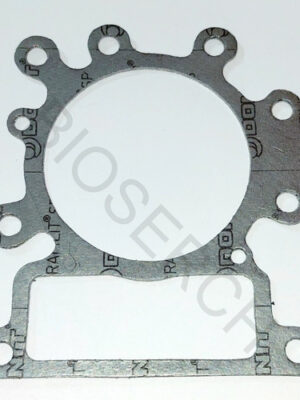 Junta Cilindro Alternativa Briggs & Stratton 796584 699168